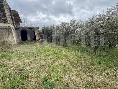 Casa Indipendente in vendita a Gioia Sanni... - foto 7
