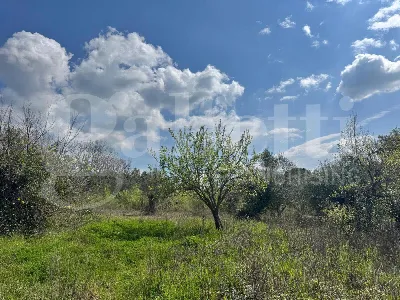 Casa Indipendente in vendita a Piana di Mo... - foto 5