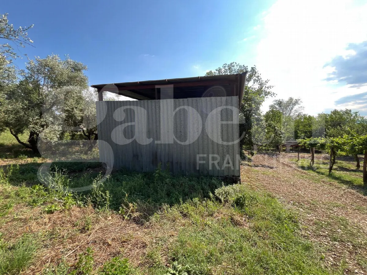 Rustico/Casale in vendita a Gioia Sannitica - foto 2