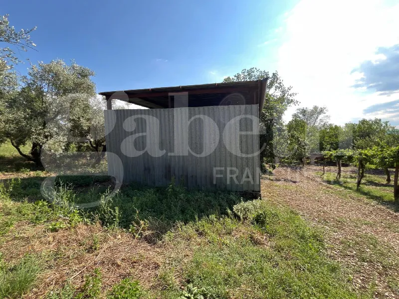 Rustico/Casale in vendita a Gioia Sannitica - foto 2