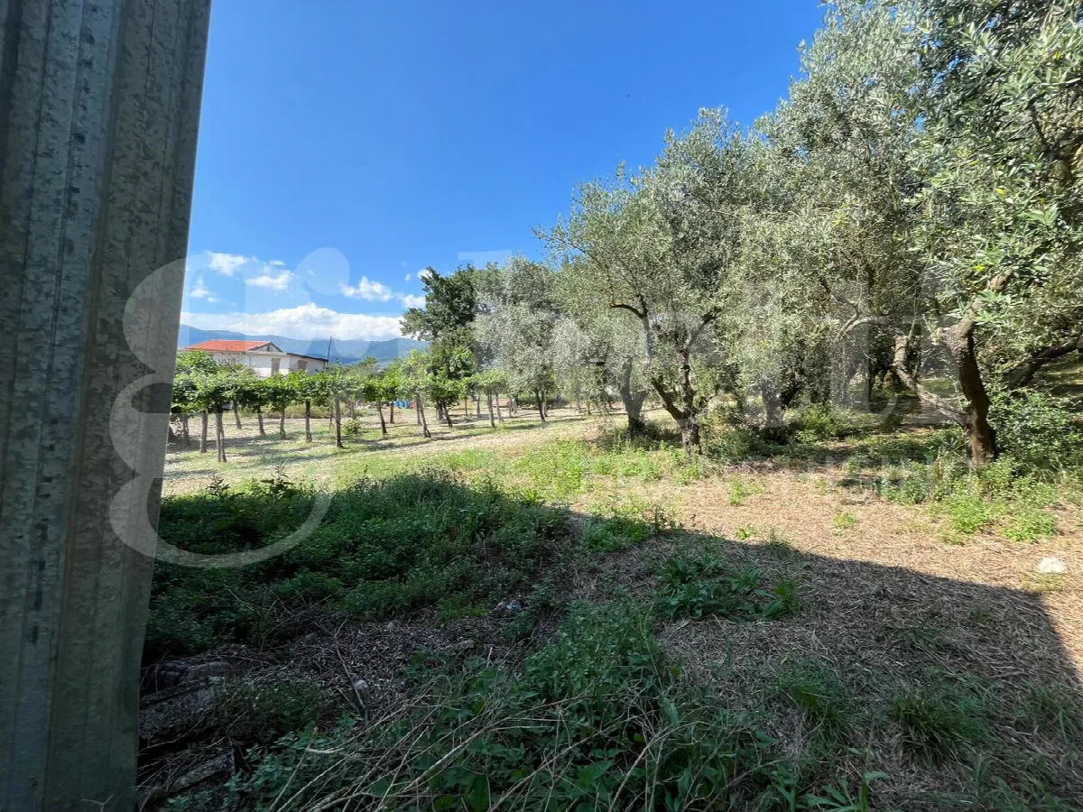 Rustico/Casale in vendita a Gioia Sannitica - foto 5