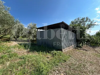 Rustico/Casale in vendita a Gioia Sannitic... - foto 1