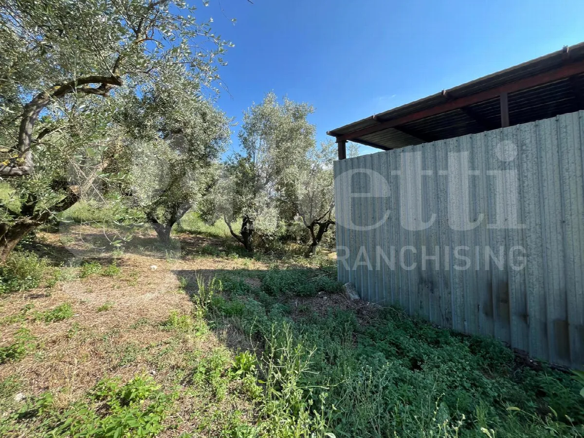Rustico/Casale in vendita a Gioia Sannitica - foto 3