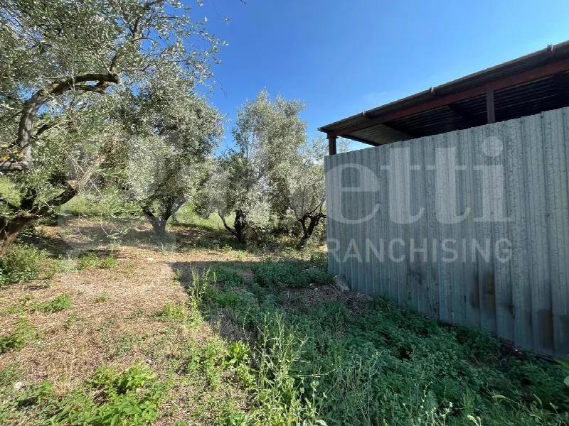 Rustico/Casale in vendita a Gioia Sannitica - foto 3