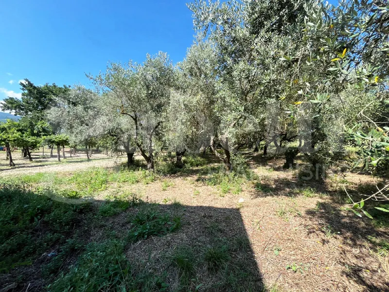 Rustico/Casale in vendita a Gioia Sannitica - foto 6