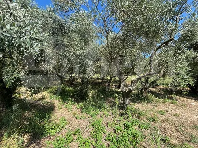 Rustico/Casale in vendita a Gioia Sannitic... - foto 7