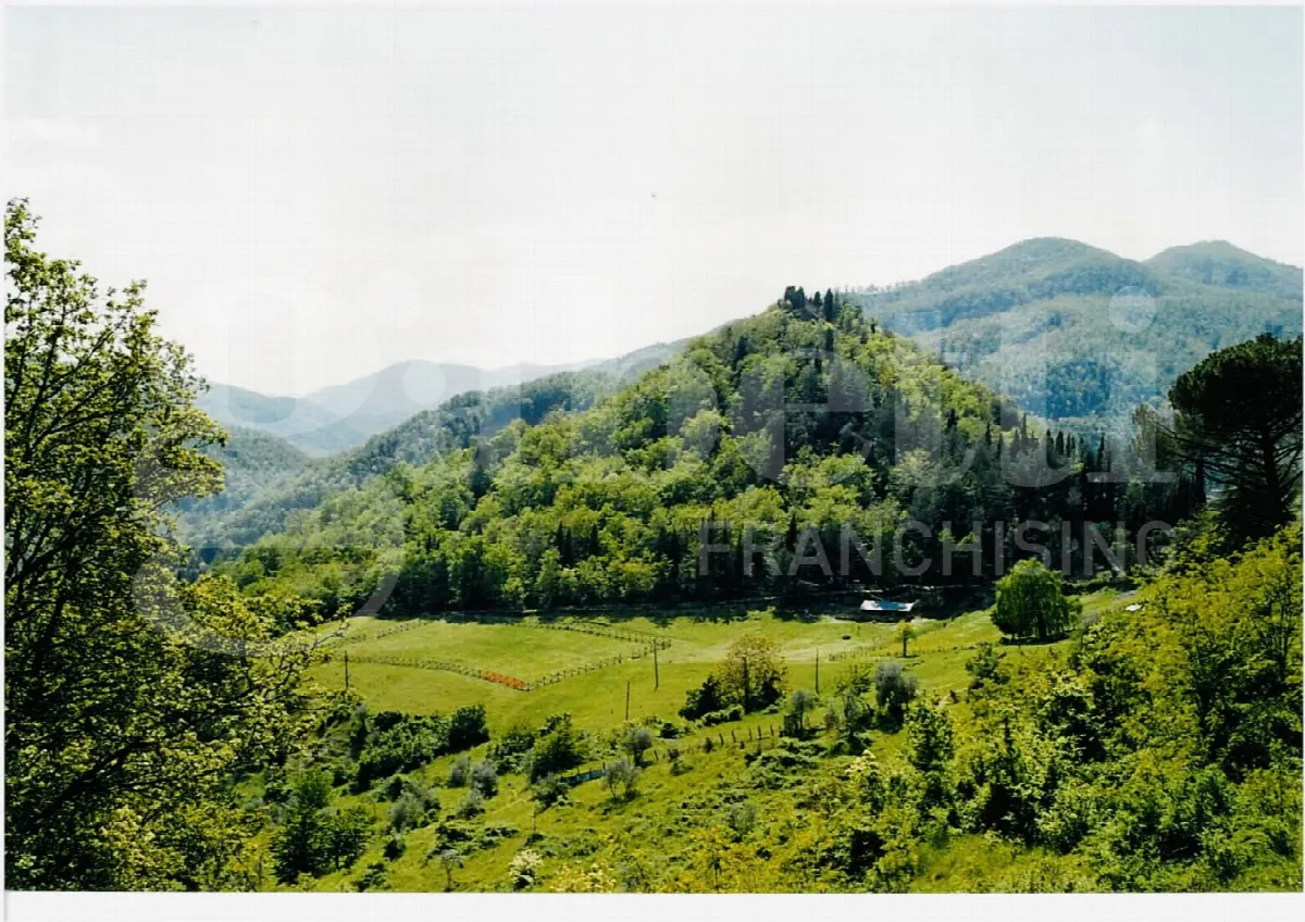Appartamento in vendita a San Godenzo - foto 2