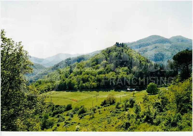 Appartamento in vendita a San Godenzo - foto 2