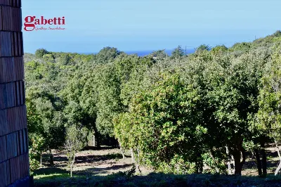 Villa in vendita a Aglientu - foto 7