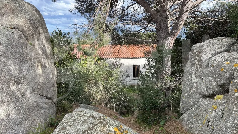 Rustico/Casale in vendita a Aglientu - foto 10