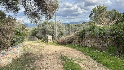 Rustico/Casale in vendita a Aglientu - foto 8