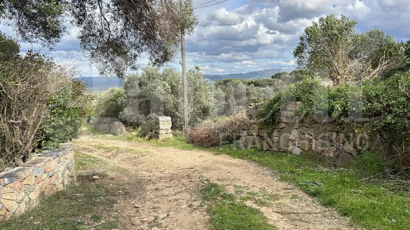 Rustico/Casale in vendita a Aglientu - foto 8