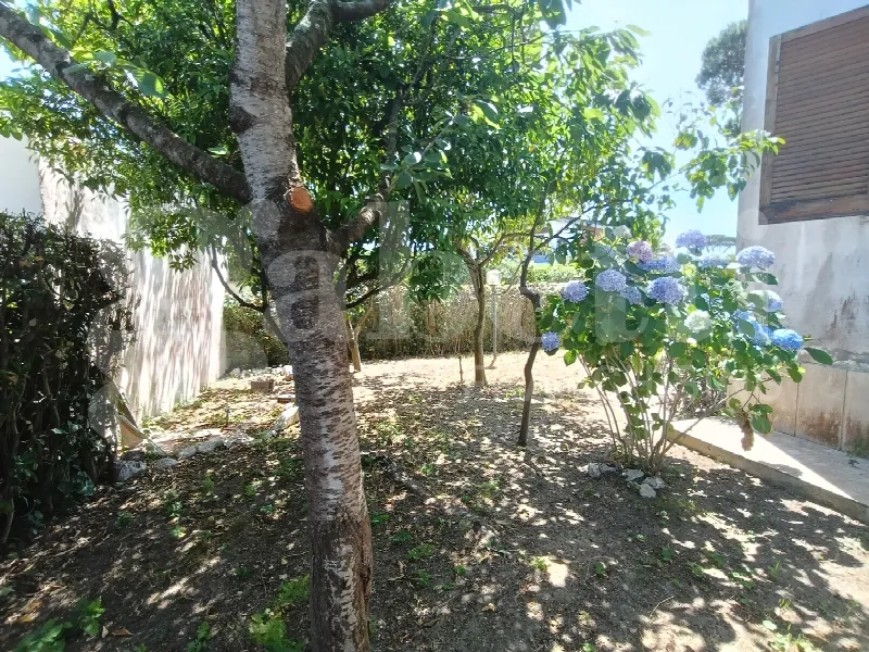 Casa Indipendente in vendita a Anzio - foto 8