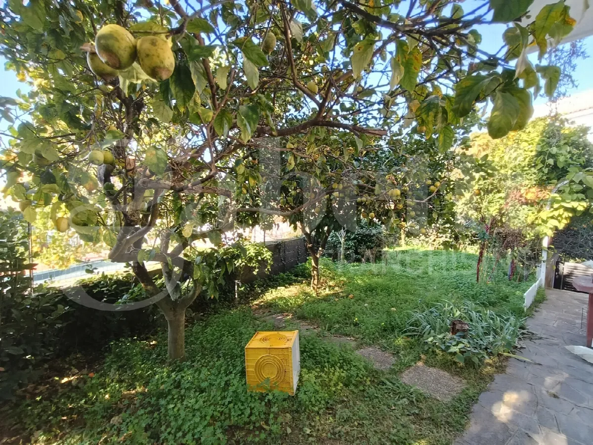 Villetta a schiera in vendita ad Anzio - foto 5