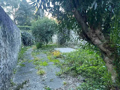 Rustico/Casale in vendita a Lecco, Maggian... - foto 3