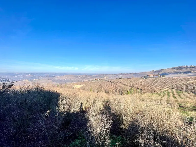 Casa Indipendente in vendita a Diano d'Alba - foto 9