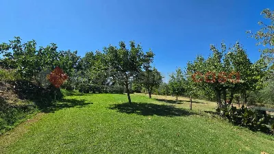 Casa Indipendente in vendita a Arezzo, Ind... - foto 3