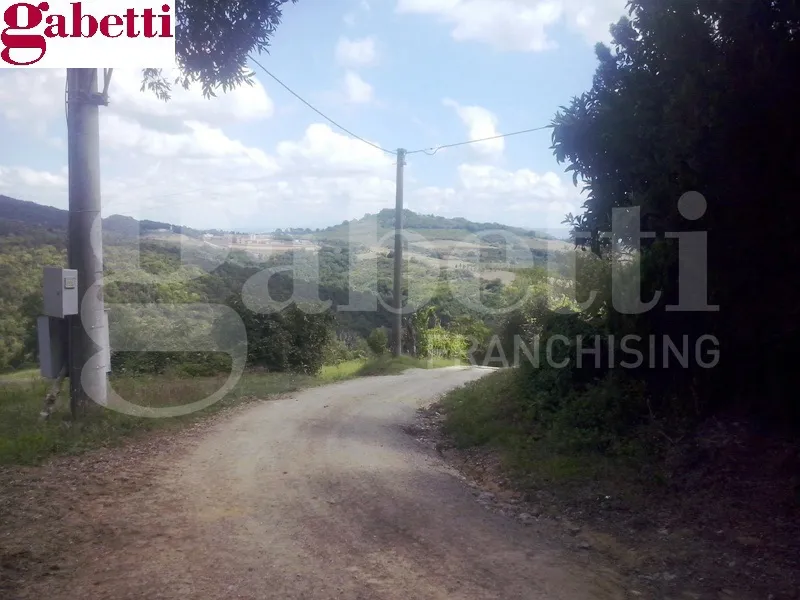 Rustico/Casale in vendita a San Gimignano - foto 1