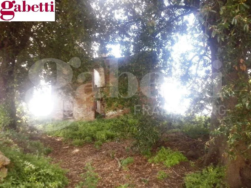 Rustico/Casale in vendita a San Gimignano - foto 6