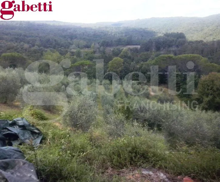 Rustico/Casale in vendita a San Gimignano - foto 7