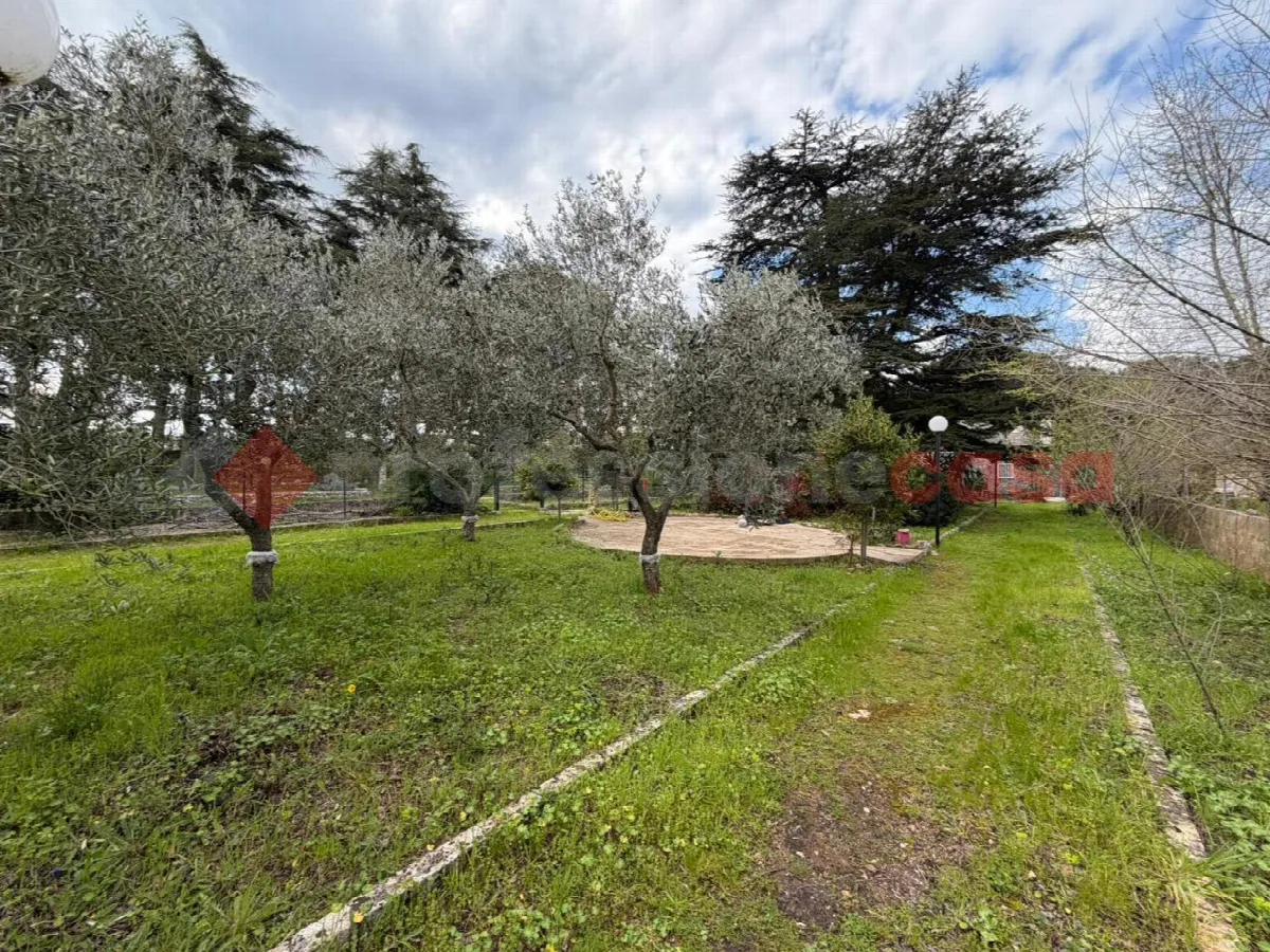 Rustico/Casale in vendita a Martina Franca - foto 4