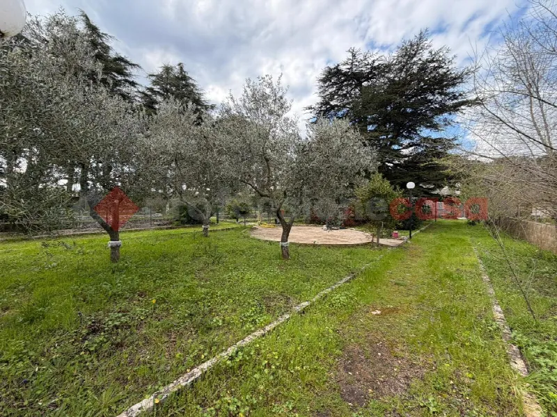 Rustico/Casale in vendita a Martina Franca - foto 4