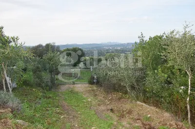 Rustico/Casale in vendita a Olbia - foto 5