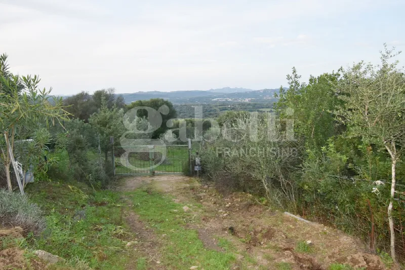 Rustico/Casale in vendita a Olbia - foto 5