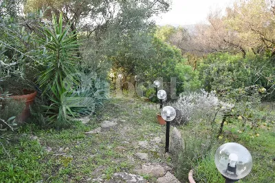 Rustico/Casale in vendita a Olbia - foto 6