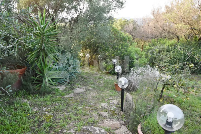 Rustico/Casale in vendita a Olbia - foto 6