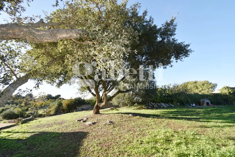 Rustico/Casale in vendita a Tempio Pausania - foto 6