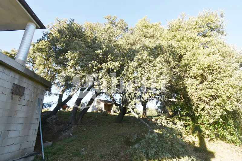 Rustico/Casale in vendita a Tempio Pausania - foto 7