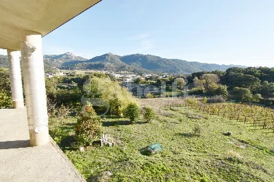 Rustico/Casale in vendita a Tempio Pausani... - foto 9