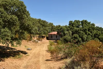 Rustico/Casale a Telti