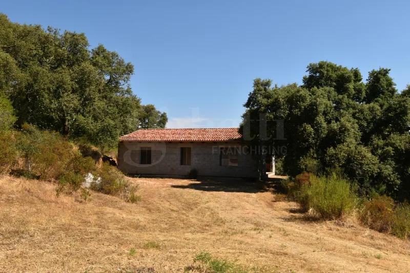 Rustico/Casale in vendita a Telti - foto 2