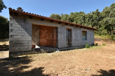 Rustico/Casale in vendita a Telti - foto 3