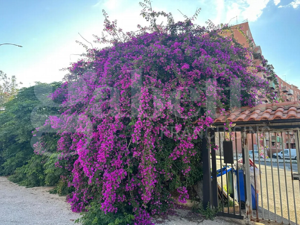 Appartamento in vendita a Siracusa, Grottasanta, Tunisi, Mazzarrona - foto 5