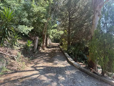 Casa Indipendente in vendita a Messina, Ca... - foto 3