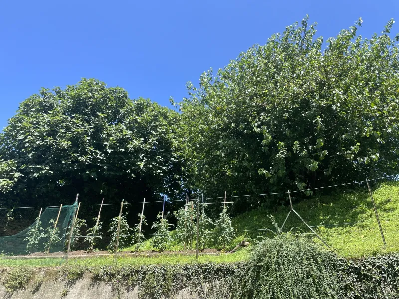 Appartamento in vendita a Caluso - foto 7