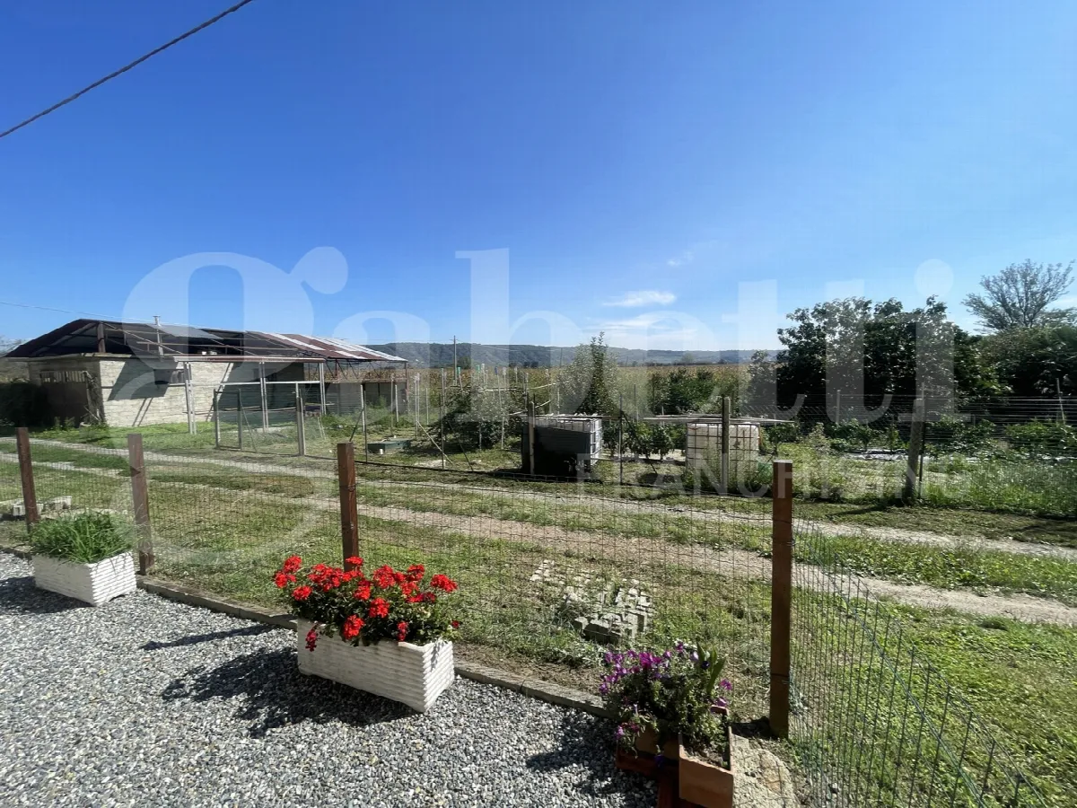 Rustico/Casale in vendita a Vische - foto 4