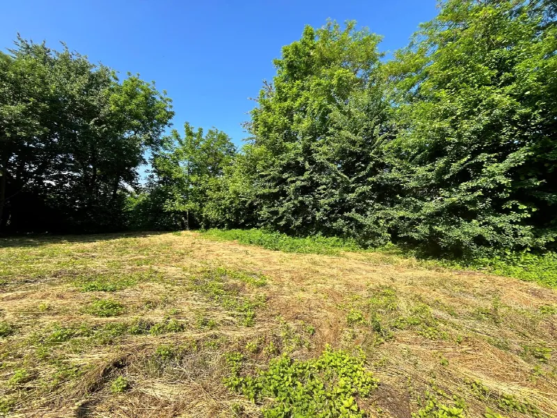 Rustico/Casale in vendita a Scarnafigi - foto 5