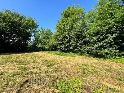 Rustico/Casale in vendita a Scarnafigi - foto 7