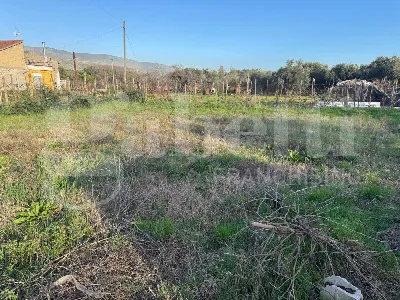 Rustico/Casale in vendita a Pignataro Magg... - foto 8
