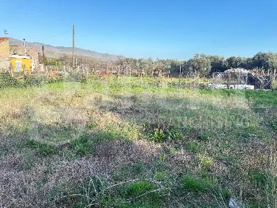 Rustico/Casale in vendita a Pignataro Magg... - foto 9