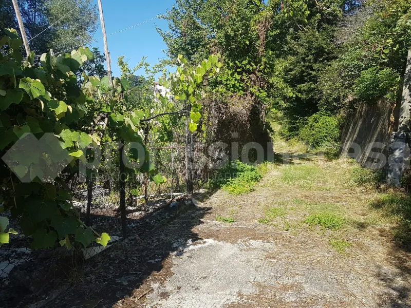 Rustico/Casale in vendita a Ateleta - foto 5