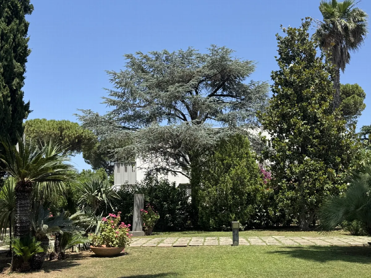 Villa in vendita a Bari, Carbonara Di Bari, Ceglie Del Campo, Loseto - foto 3