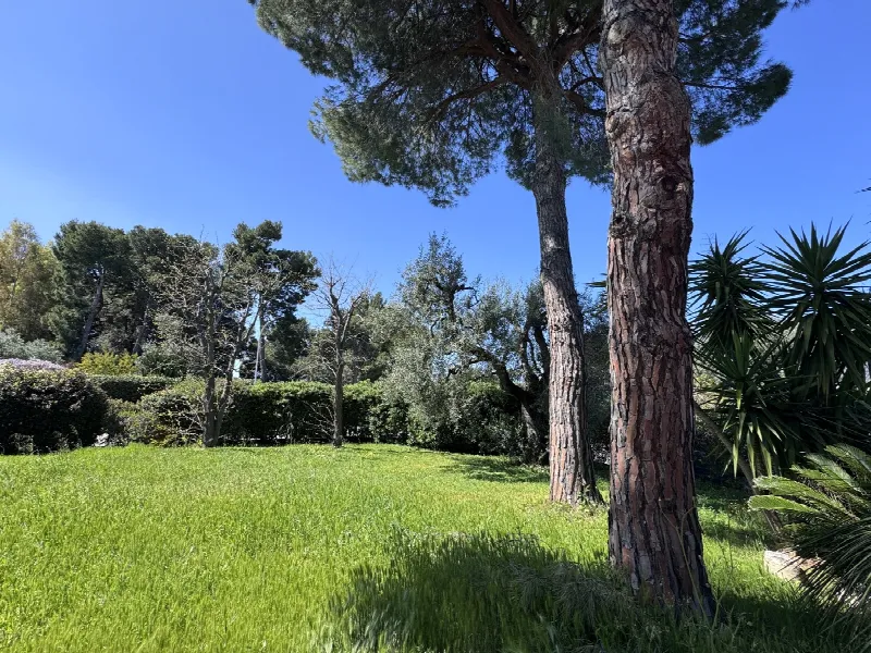 Villa in vendita a Noicattaro - foto 6