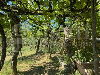 Casa Indipendente in vendita a Formia - foto 5
