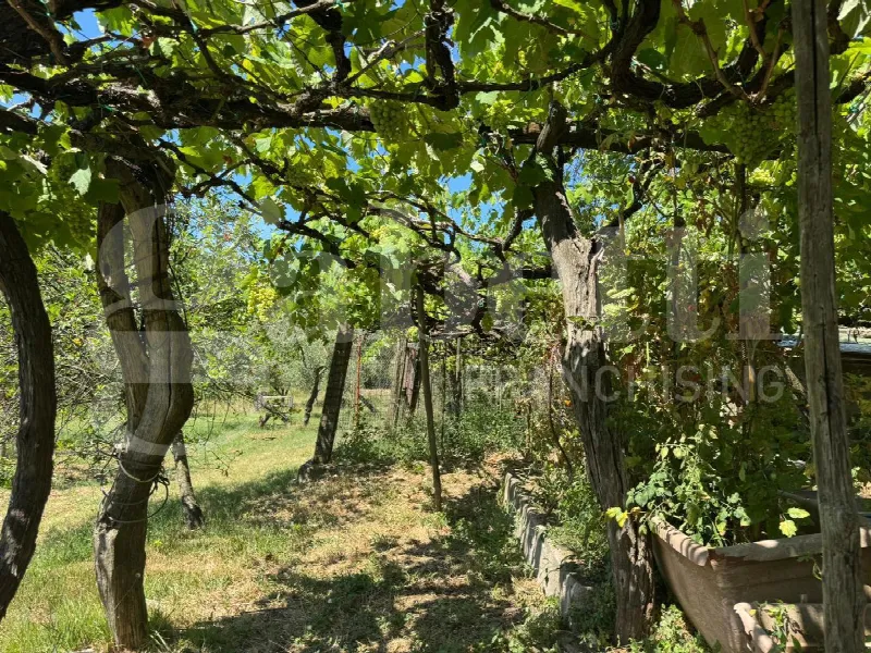 Casa Indipendente in vendita a Formia - foto 5