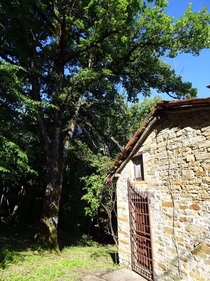 Rustico/Casale in vendita a Montese - foto 10